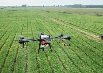 Agricoltura 4.0: la partnership tra Linkem e Maccarese.