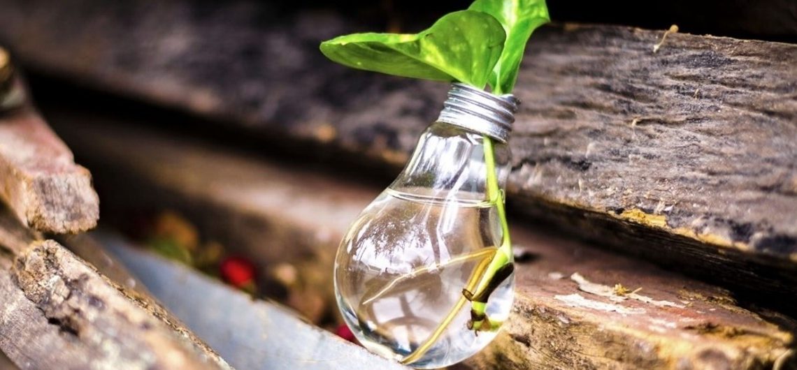 Il progetto “Sostenibili Dentro” di Acquedotto Pugliese