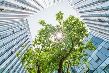 Lo studio condotto da Atos e The European House – Ambrosetti sulla “Net Zero Society”.