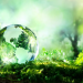 L’impegno sostenibile di Aetna Group con TechLab, PACK2GREEN e ReCYCLE.