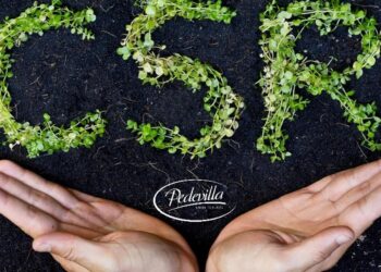 La responsabilità sociale di Pedevilla