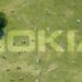 Digitalizzazione, investimenti 5G e la collaborazione con Orange: il punto di vista di Nokia per diventare più green