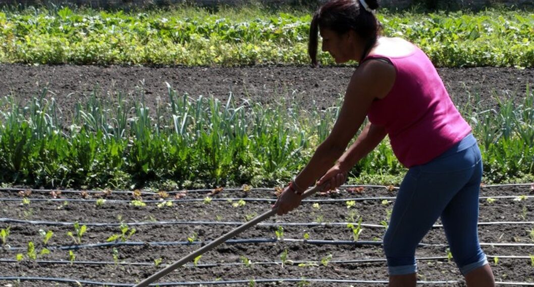 Coltivare speranze, l’orto delle Meraviglie