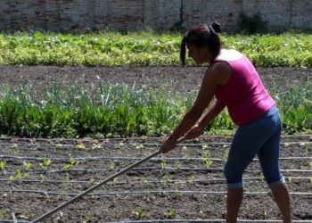 Coltivare speranze, l’orto delle Meraviglie