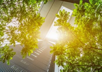 La Governance aziendale di Dedalus