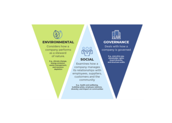 Dedalus, la strategia di sostenibilità
