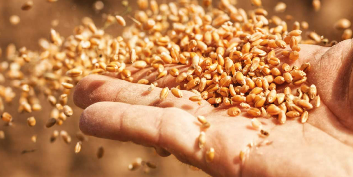 Sostenibilità e innovazione digitale: binomio al centro della strategia di Birra Peroni