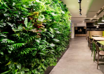 Spazi e arredi “green”: i ristoranti di Pedevilla sono sostenibili