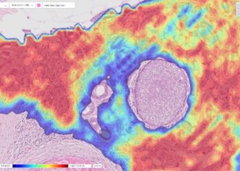 Intelligenza artificiale e patologia digitale: nasce la nuova collaborazione tra Dedalus e IBEX