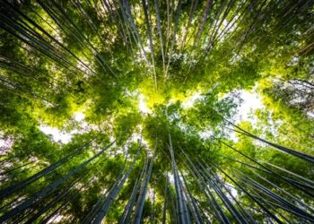 “Investire nel nostro Pianeta”: oggi si celebra la 52esima edizione della Giornata Mondiale della Terra