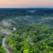 Noleggiare un’auto con Maggiore aiuta a proteggere la foresta amazzonica