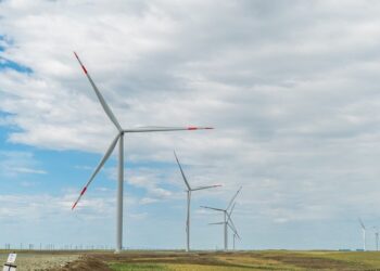 L’impegno di Plenitude a sostegno della transizione energetica: pubblicato il primo Report di Sostenibilità della Società