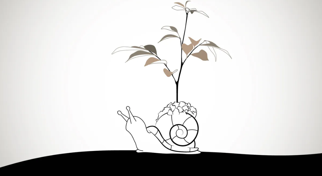 L’esperienza della B-Corp (RI)Generiamo