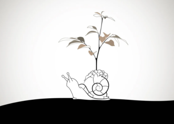 L’esperienza della B-Corp (RI)Generiamo