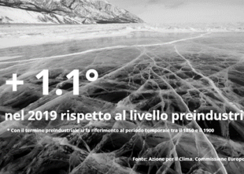 World Climate, la strategia di Deloitte per promuovere abitudini più sostenibili