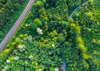 Sostenibilità in Knorr-Bremse: l’azienda ottiene nuovamente lo status Gold da EcoVadis.