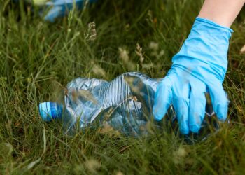 Riqualificazione “verde” a Roma e Milano: l’iniziativa di Edenred Italia in collaborazione con Legambiente e AzzeroCO2