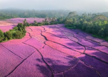 HPE: l’importanza dell’approccio di modelli economici smart nell’economia circolare