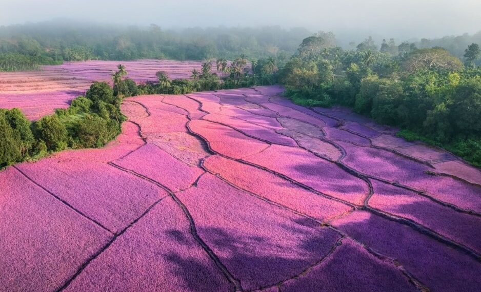 HPE: l’importanza dell’approccio di modelli economici smart nell’economia circolare