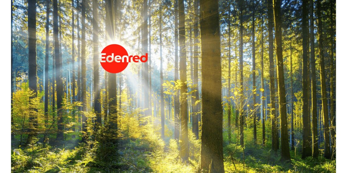 Edenred Italia pianta 3.000 alberi con Treedom. L’iniziativa lanciata per promuovere comportamenti virtuosi e ridurre l’impatto ambientale degli spostamenti casa-lavoro dei dipendenti
