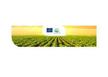 UnipolSai è parter di Life ADA, il progetto per reagire ai cambiamenti climatici nel settore agricolo