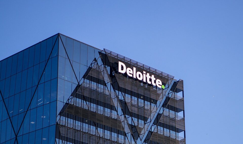 Deloitte: il Terzo Settore è uno dei pilastri fondamentali della sostenibilità