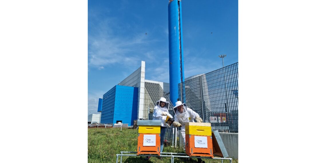 Misurare la salubrità delle api e del miele prodotto: l’attività di biomonitoraggio di Iren che ha confermato la qualità dell’aria e dell’area del termovalorizzatore di Parma e di Torino