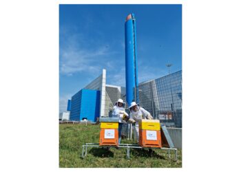 Misurare la salubrità delle api e del miele prodotto: l’attività di biomonitoraggio di Iren che ha confermato la qualità dell’aria e dell’area del termovalorizzatore di Parma e di Torino