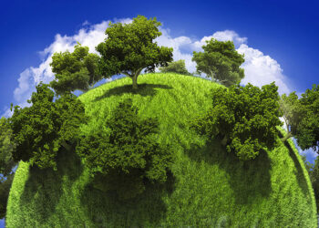 Sostenibilità ambientale: la strategia green di Dedalus per le attività di marketing