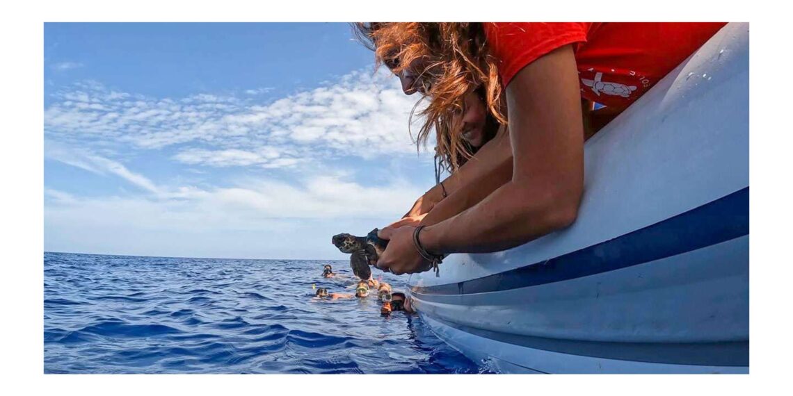 E.ON: Energy4Blue, il progetto per la tutela dell’ecosistema marino