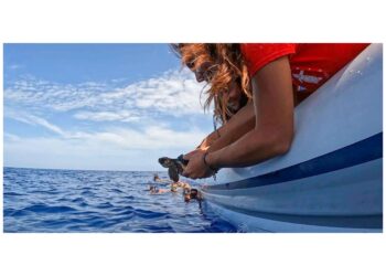 E.ON: Energy4Blue, il progetto per la tutela dell’ecosistema marino