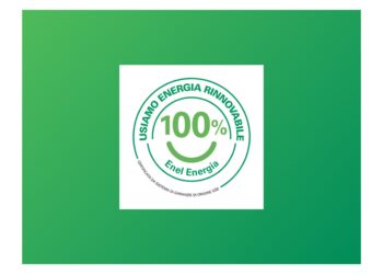 DSV ha ricevuto il Marchio Energia Rinnovabile di Enel