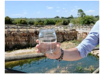 Riuso dell’acqua per l’agricoltura e ciclo dei fanghi: Puglia sempre più green grazie ad Acquedotto Pugliese