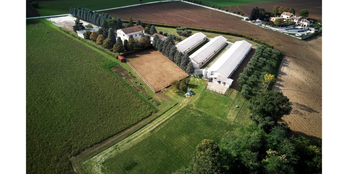 La sostenibilità secondo Fileni: fiducia e impegno, sempre