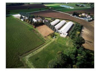 La sostenibilità secondo Fileni: fiducia e impegno, sempre