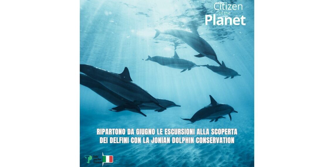 Ricercatori per un giorno: Teleperformance torna alla scoperta dei delfini
