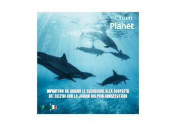 Ricercatori per un giorno: Teleperformance torna alla scoperta dei delfini