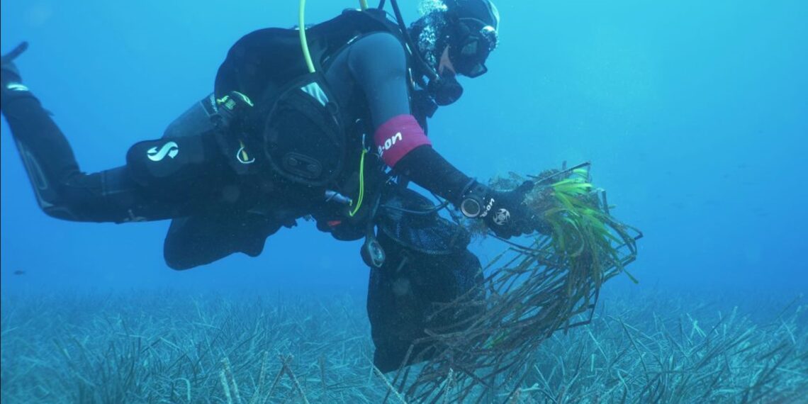 Energy4Blue: il progetto di E.ON per tutela del mare e della biodiversità