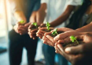 Deloitte, tra strategia e reporting: le aziende italiane di fronte alle sfide della transizione energetica