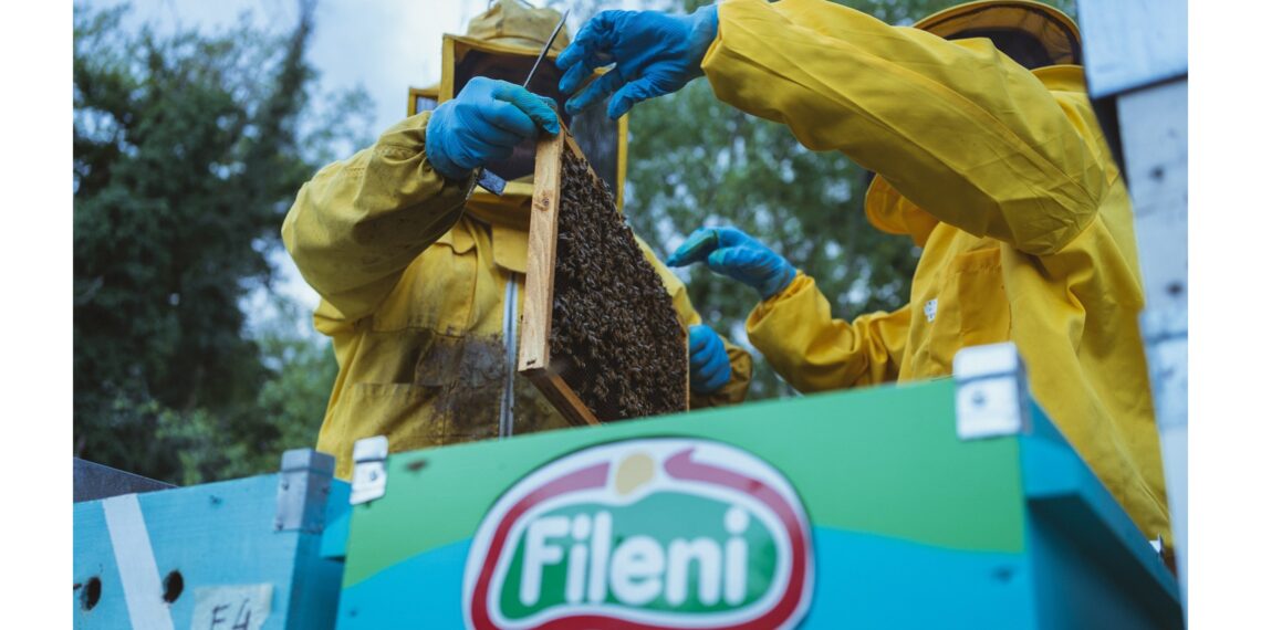 Fileni: il prezioso lavoro delle api per tutelare l’ambiente