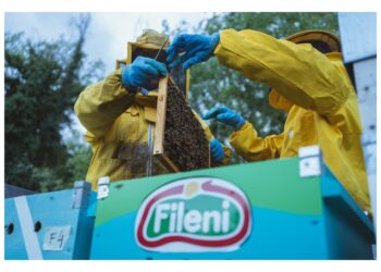 Fileni: il prezioso lavoro delle api per tutelare l’ambiente