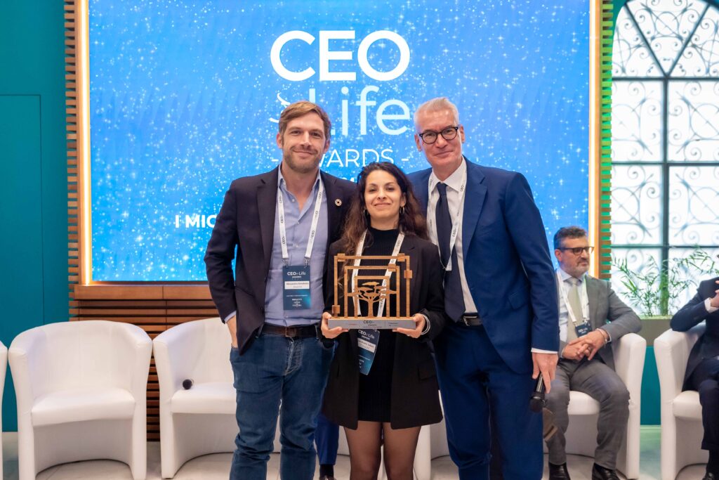 238_26607398_20241024