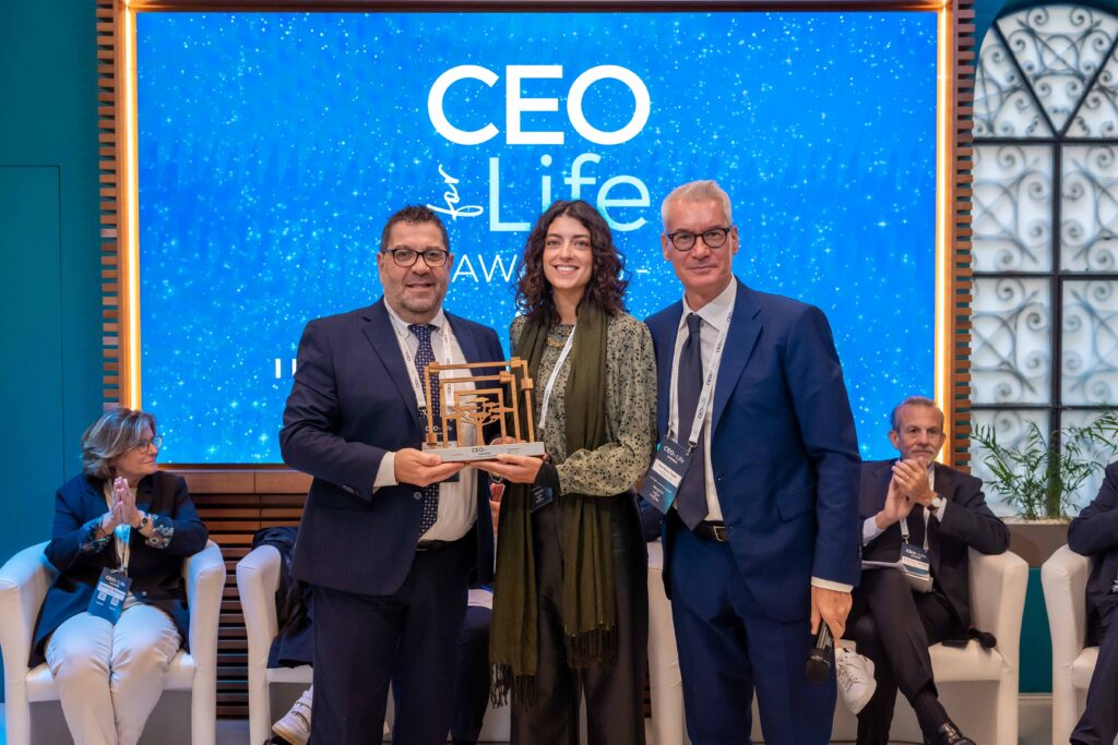 54_26605822_20241024