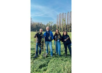 KONE: Allarme deforestazione, oltre 6 milioni di ettari persi nel 2024. Ma c’è chi risponde con innovazione e speranza