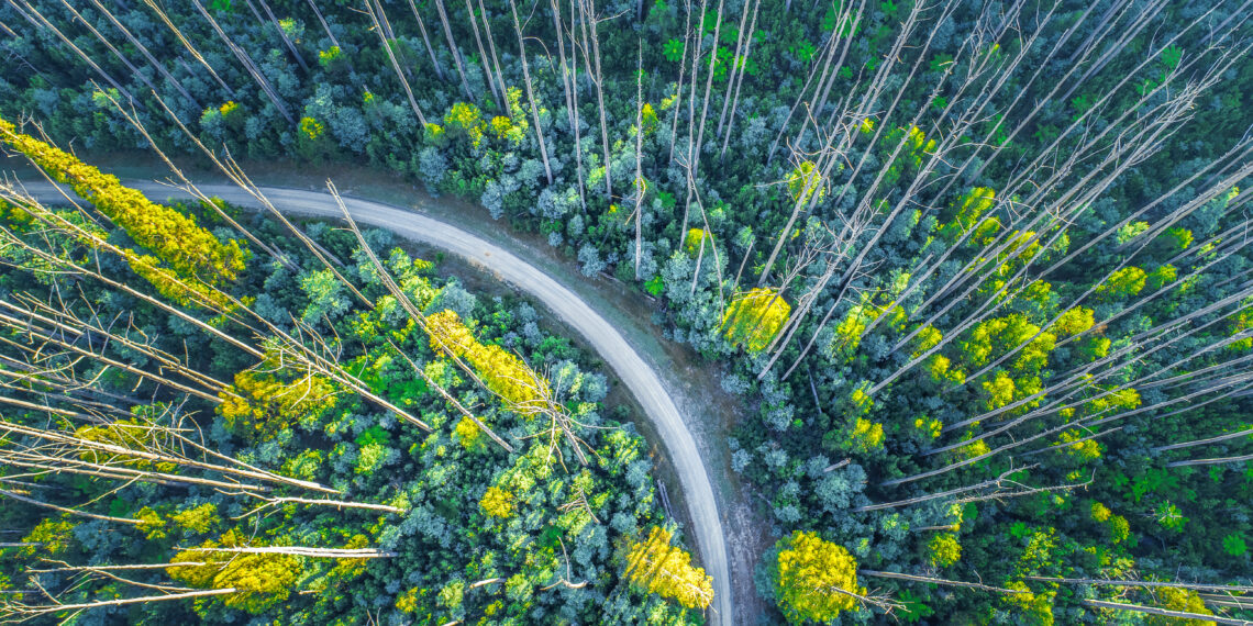 Aon S.p.A. diventa Società Benefit: etica, persone e sostenibilità al centro