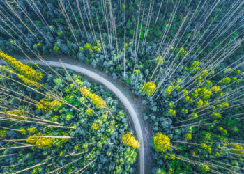 Aon S.p.A. diventa Società Benefit: etica, persone e sostenibilità al centro